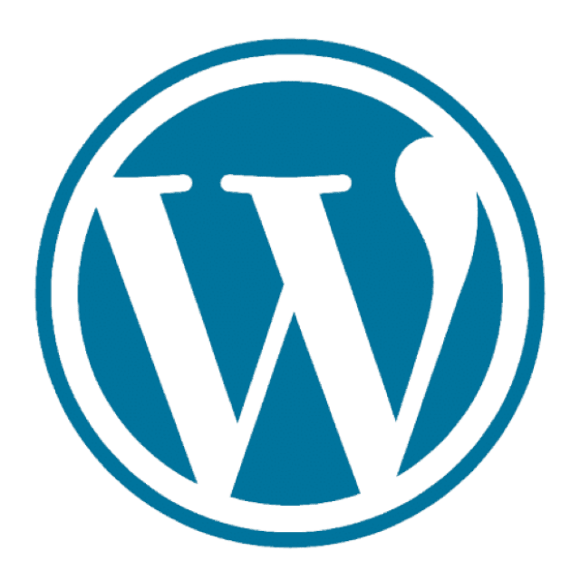 professionele wordpress website
